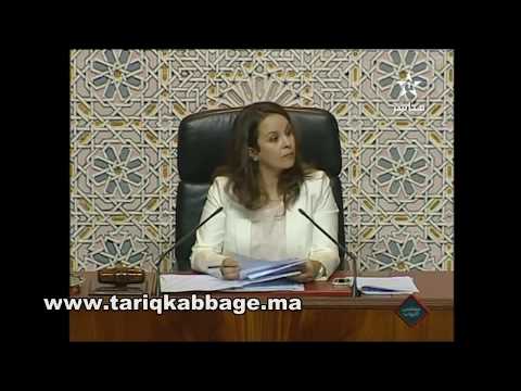طارق القباج حين ترافع من أجل المشروع السياحي لتغازوت بمجلس النواب