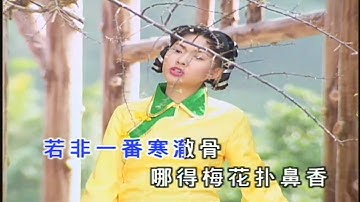 卓依婷 (Timi Zhuo) - 梅 花 三 弄 (Three Songs of Plum Blossom)