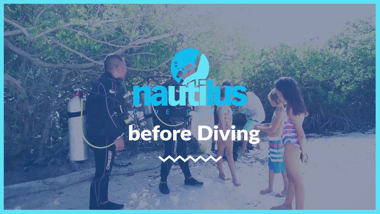 Diving at Pos Chiquito by Nautilus diving center aruba YouTube