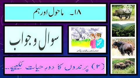 Class 5 || EVS 1 || lesson no 18 || Chapter 18 || Mahul aur hum || Question Answer || URDU MEDIUM