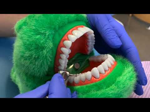 Video: Alexander Pryanikov hos tandläkaren. Steg två