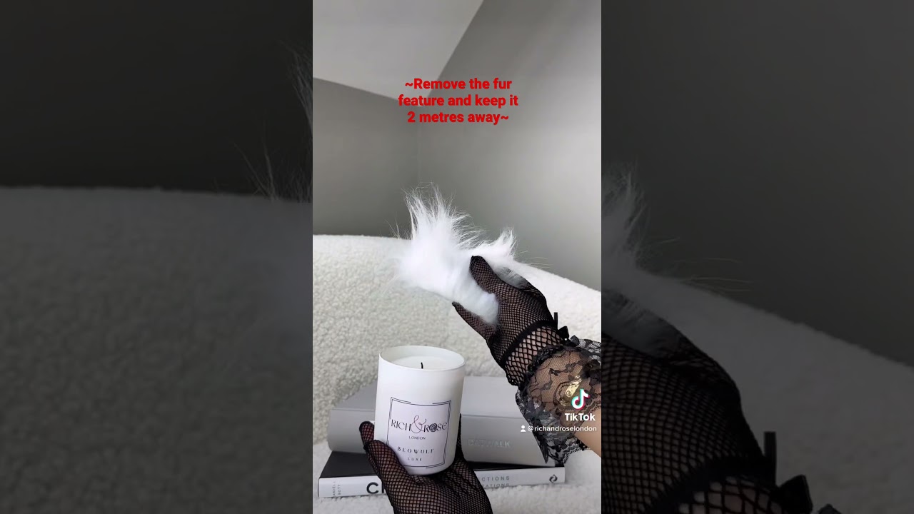 Here How..? Animal themed candles to make a statement at your home.! 