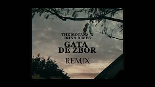The Motans x Irina Rimes - Gata de zbor | Stephh Remix