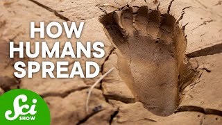 These Ancient Footprints Changed History as We Know It