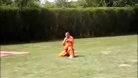 shaolin monkey style - read info