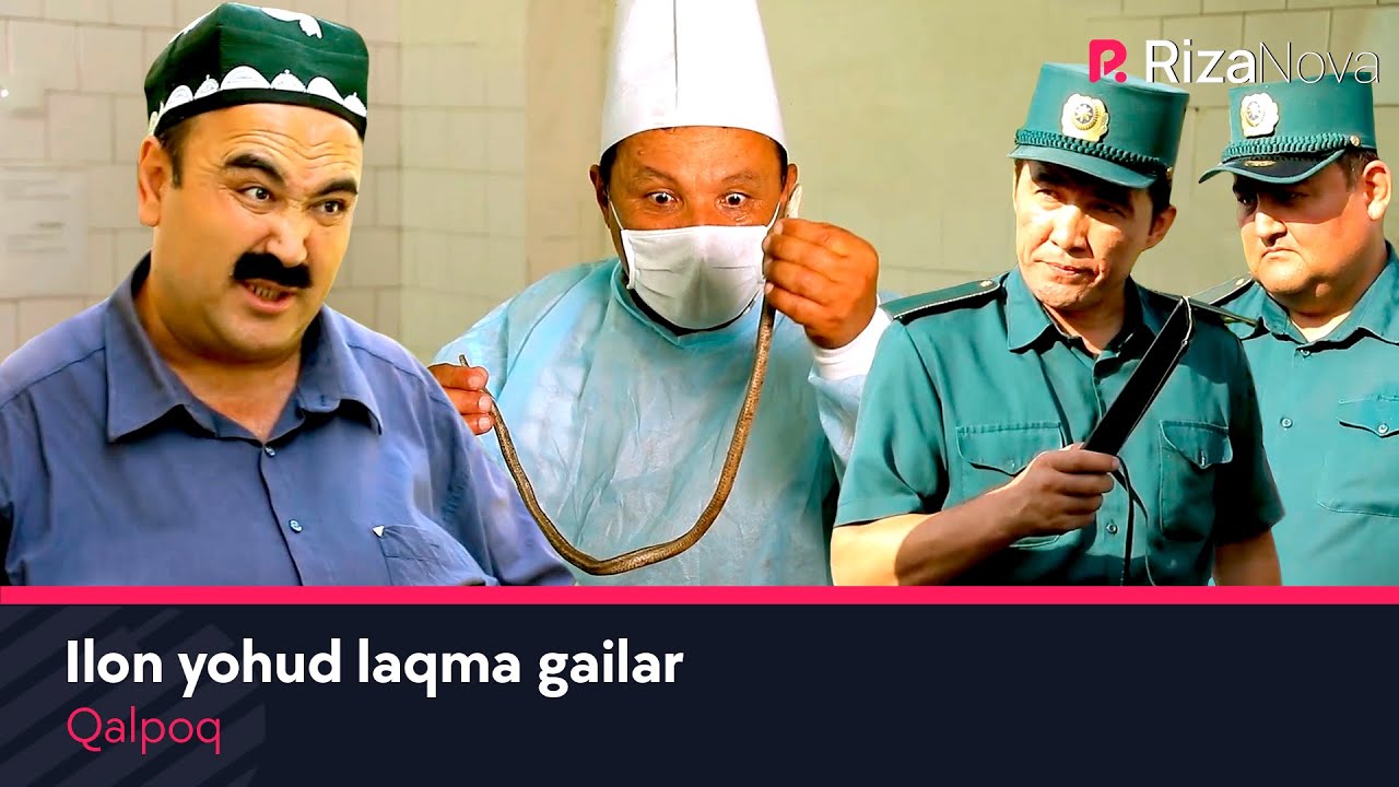 Qalpoq - Ilon yohud laqma gailar / HD