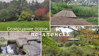 видео: Японский сад в Москве. Стоит ли туда ехать? картинка: Японский сад в Москве. Стоит ли туда ехать?