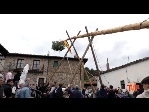 Pingada del mayo en Molinos de Duero - 2025