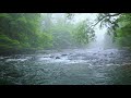 Green Forest River Flowing in Rainy Weather. Nature Sounds, Forest River, White Noise for Sleeping.