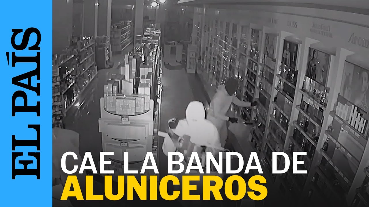 ESPAÑA | Cae la banda de aluniceros más activa del sur de España | EL PAÍS