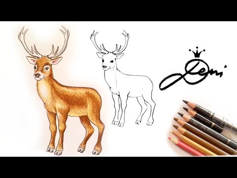 Видео: Как да рисувам креватче