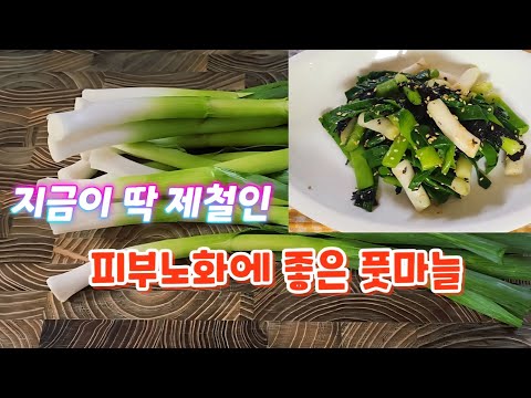 ✅️요즘 이거 완전 밥도둑이네요‼️#풋마늘무침#일등밑반찬#한정식집밑반찬#라푼젤힐링집밥