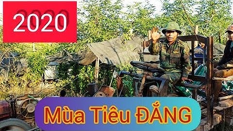 Y KIÊN OFFICIAL #17: Dừng Lại hay Tiếp Tục ????  khi HỒ TIÊU mất GIÁ -35k một KÍ TIÊU KHÔ