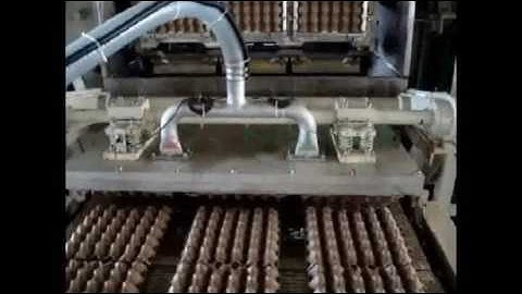 Full Automatic Rotary Egg Tray Machine 3000Pcs/H with Single Layer Dryer