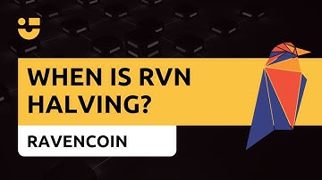 NiceTalk Highlights: Ravencoin halving