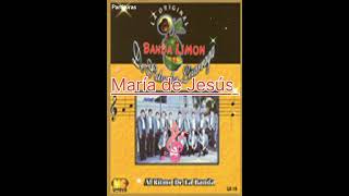 María De Jesús - La Original Banda El Limón #shorts