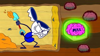Nate Found His Brain In The Hardest Place | Animated Cartoons Characters | Animated Short Films