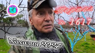 #Абхазия2024 🌴 26 марта❗Выпуск №1617❗ Погода от Серого Волка🌡вчера +17°🌡ночью +7°🐬море +10,9°