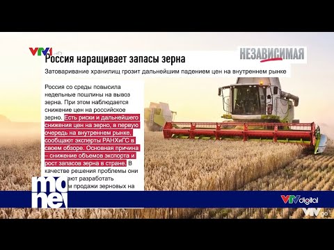 Video: Xuất khẩu ngũ cốc từ Nga