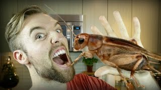 5 Reasons To Eat Crickets Entomophagy