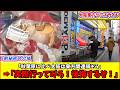 【ゆっくり解説】秋葉原より熱い!?東方グッズがある大阪日本橋オタロード巡り完全攻略ガイド！