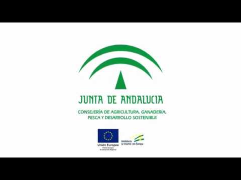 Tutorial de la aplicación Registro de Explotaciones Agrarias y Forestales de Andalucía (REAFA)