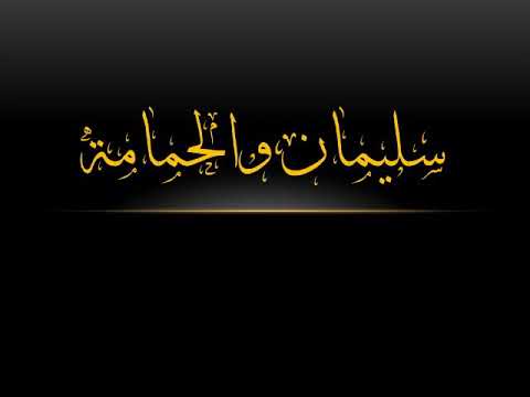 نص سليمان والحمامة