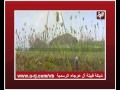 شيلة شباك ريم كلمات عبدالله الحارثي أداء محمد السليس شيلة شباك ريم كلمات عبدالله الحارثي أداء محمد السليس