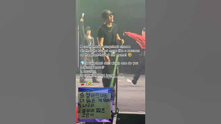 #scoups chose raccoon over cat meme 😂😅 #seventeen #shorts seventeen world tour new