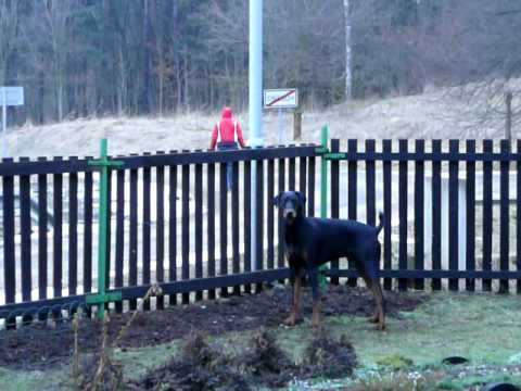 Video: Jak hlídáte svůj dům?