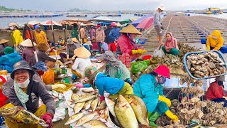 Làng Hàu Tri Thuỷ Lớn Nhất Ninh Thuận | Tươi Cong Cá Đỏ Mép Câu Chợ Đầm Nại