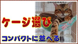 【ケージ選び】わいるどcatハウスのケージ【コンパクトに並べる】