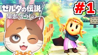 【縦型配信】パズルゲーマーがゼルダの伝説知恵のかりものを知的に初見プレイ Part1 ※ネタバレ注意【ゼルダの伝説 知恵のかりもの】