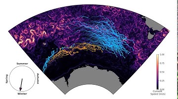 Can Floating Kelp Cross the Southern Ocean?