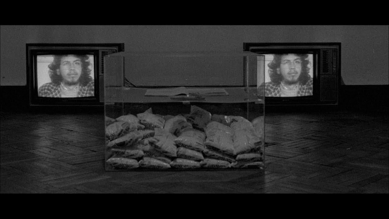 Obra ícono del arte chileno: Colectivo Acciones de Arte (C.A.D.A)