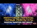 КВАНТОВЫЙ ПЕРЕХОД: ПЕРВЫЕ РЕЗУЛЬТАТЫ || канал Родина TV. прямой эфир