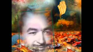 İsmet Yazar - Bir Bahar Akşamı Rastladım Size (Hi̇caz)R.g. Resimi