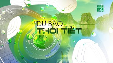 Thời tiết biển 24/02/2020: Vùng biển từ Bình Thuận đến Cà Mau gió cấp 6, biển động  | VTC14