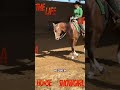 Day 8 at the All-American Quarter Horse Congress 🐎✨ Riding into the Horsemen’s Ship for our warm-up