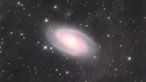 M81 with IFN