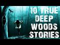 10 True Disturbing Deep Woods Scary Stories | Horror Stories To Fall Asleep To
