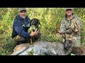 Bavarian mountain hound recovers 170 wisconsin whitetail