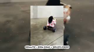 🌸Billie Eilish - Wildflower Remix By Mitsu712
