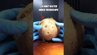 Raw Coconut Water Under Microscope