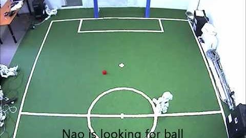 Neural Network FALCON in positioning the robot NAO