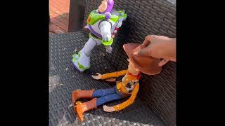 Woody and Buzz enjoying the barbecue outside!😊