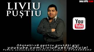 Liviu Pustiu - Doamne prietenii mei  | Official Audio