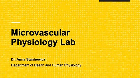 Anna Stanhewicz - Microvascular Physiology Laborat...