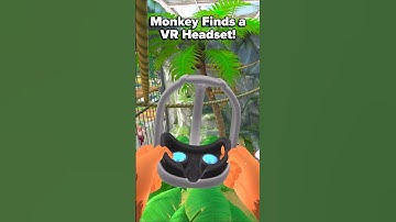 Aap vindt VR-headset - Ik ben een aap #iammonkey #vr #virtualreality #gaming #quest2 #quest3