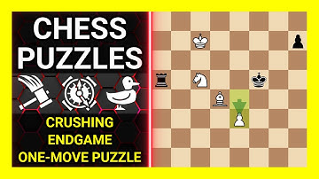 Chess Puzzles to Practice. Themes: Crushing, Endgame, One-move puzzle. Learn Chess